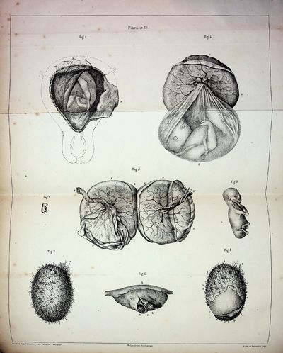 Cours sur la Generation, l'Ovologie et l'Embryologie, [Course on Generation, Ovology and Embryology, given at the Natural History Museum in 1836, by Professor Flourens]