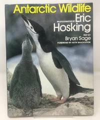 image of Antarctic Wild Life