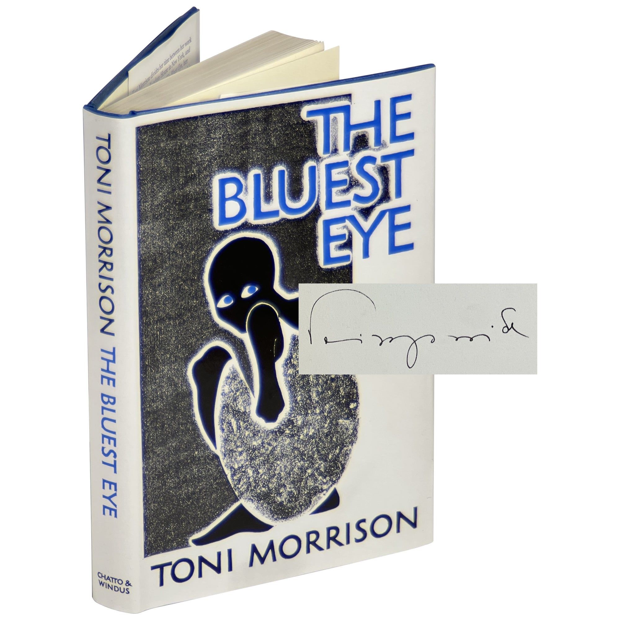 The Bluest Eye Themes