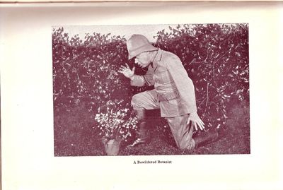 New York: G. P. Putnam's Sons, (1921). First Edition. Hardcover. Very Good, lacking the dustwrapper....