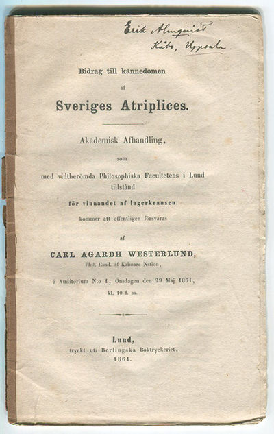 Bidrag till kännedomen af Sveriges Atriplices.…