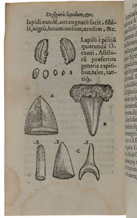 De Omni Rerum Fossilium Genere, Gemmis, Lapidibus, Metallis, et huiusmodi, libri aliquot,...