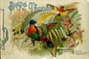 Birds of the Tropics