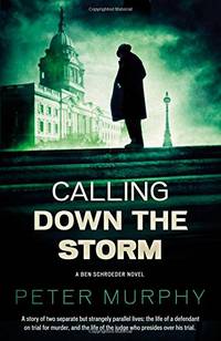 Calling Down the Storm (Ben Schroeder 5): The Fifth Ben Schroeder Legal Thriller