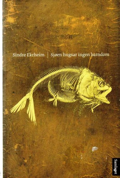 Sjøen hugsar ingen barndom. Dikt