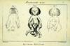 1836 Histoire Generale et Particuliere des Anomalies de l'Organisation Chez l'Homme et les Animaux:  [General and Particular History of Organizational Anomalies in Man and Animals]