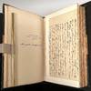 <p style="color:DarkGreen;">The Writings of Henry David Thoreau