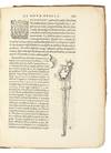 Dialexis de novae et prius incognitae...; (photo 7)