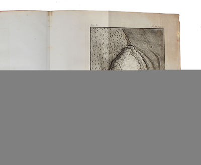 Histoire Naturelle, Générale et Particulière, avec la description du Cabinet du Roy (15 vols.) (+) Supplément à l'Histoire naturelle (6 vols) (+) Histoire naturelle des Oiseaux (9 vols) (+) Quadrupedes Ovipares et des Serpens (2 vols). 32 vols. - [FIRST "COMPLETE SURVEY OF NATURAL HISTORY IN POPULAR FORM" - PMM 198] (photo 15)