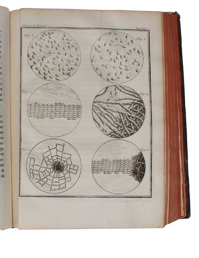 Histoire Naturelle, Générale et Particulière, avec la description du Cabinet du Roy (15 vols.) (+) Supplément à l'Histoire naturelle (6 vols) (+) Histoire naturelle des Oiseaux (9 vols) (+) Quadrupedes Ovipares et des Serpens (2 vols). 32 vols. - [FIRST "COMPLETE SURVEY OF NATURAL HISTORY IN POPULAR FORM" - PMM 198] (photo 18)