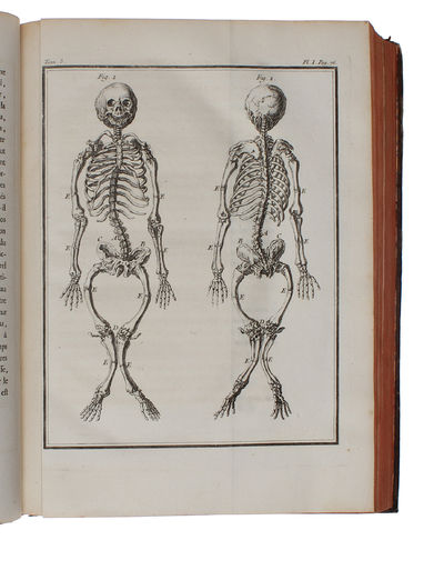 Histoire Naturelle, Générale et Particulière, avec la description du Cabinet du Roy (15 vols.) (+) Supplément à l'Histoire naturelle (6 vols) (+) Histoire naturelle des Oiseaux (9 vols) (+) Quadrupedes Ovipares et des Serpens (2 vols). 32 vols. - [FIRST "COMPLETE SURVEY OF NATURAL HISTORY IN POPULAR FORM" - PMM 198] (photo 19)
