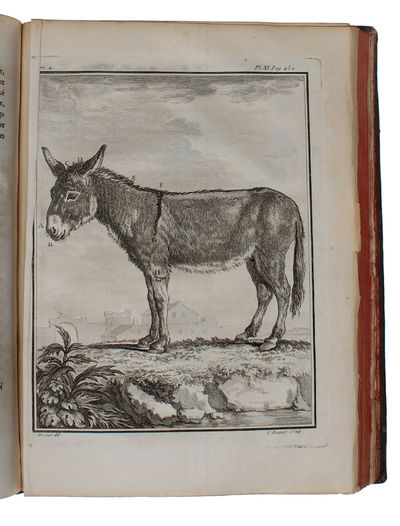 Histoire Naturelle, Générale et Particulière, avec la description du Cabinet du Roy (15 vols.) (+) Supplément à l'Histoire naturelle (6 vols) (+) Histoire naturelle des Oiseaux (9 vols) (+) Quadrupedes Ovipares et des Serpens (2 vols). 32 vols. - [FIRST "COMPLETE SURVEY OF NATURAL HISTORY IN POPULAR FORM" - PMM 198] (photo 20)