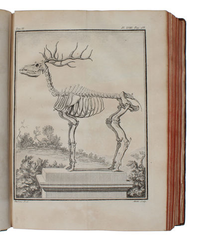 Histoire Naturelle, Générale et Particulière, avec la description du Cabinet du Roy (15 vols.) (+) Supplément à l'Histoire naturelle (6 vols) (+) Histoire naturelle des Oiseaux (9 vols) (+) Quadrupedes Ovipares et des Serpens (2 vols). 32 vols. - [FIRST "COMPLETE SURVEY OF NATURAL HISTORY IN POPULAR FORM" - PMM 198] (photo 22)