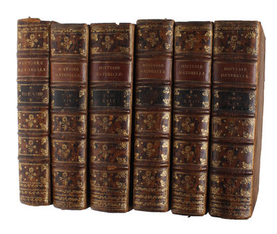 Histoire Naturelle, Générale et Particulière, avec la description du Cabinet du Roy (15 vols.) (+) Supplément à l'Histoire naturelle (6 vols) (+) Histoire naturelle des Oiseaux (9 vols) (+) Quadrupedes Ovipares et des Serpens (2 vols). 32 vols. - [FIRST "COMPLETE SURVEY OF NATURAL HISTORY IN POPULAR FORM" - PMM 198] (photo 7)