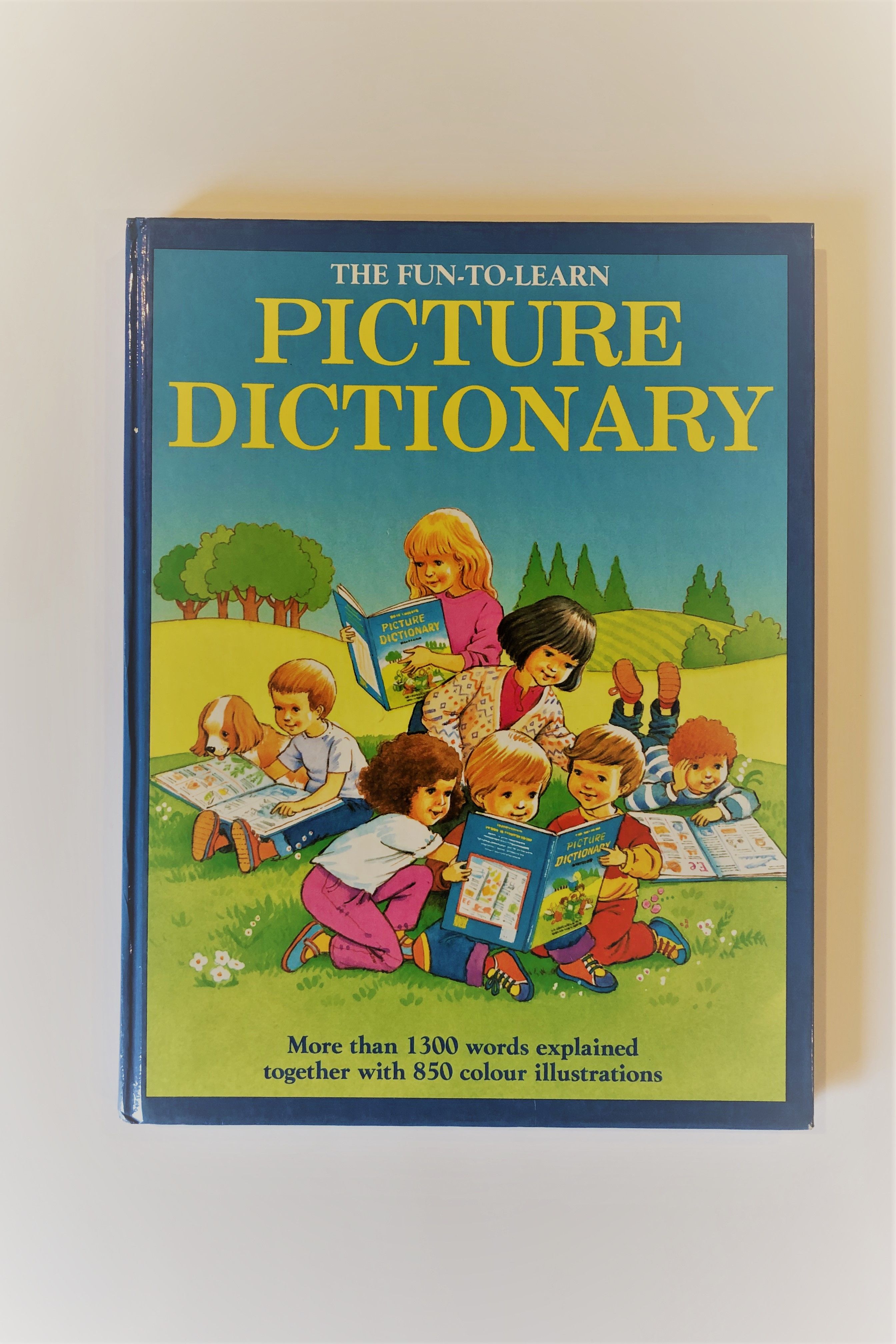 The Fun to Learn Picture Dictionary by McKie, Anne | Binding is in