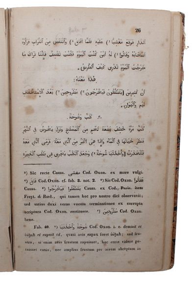 Locmani Sapientis Fabulæ 40. Recensuit et in usum prælectionum edidit Erasmus Rask. (photo 3)