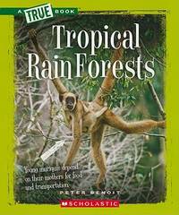 Tropical Rain Forests
