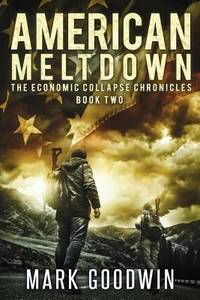 American Meltdown : Book Two of the Economic Collapse Chronicles