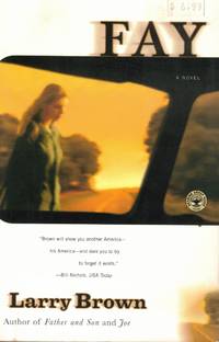 Fay A Novel