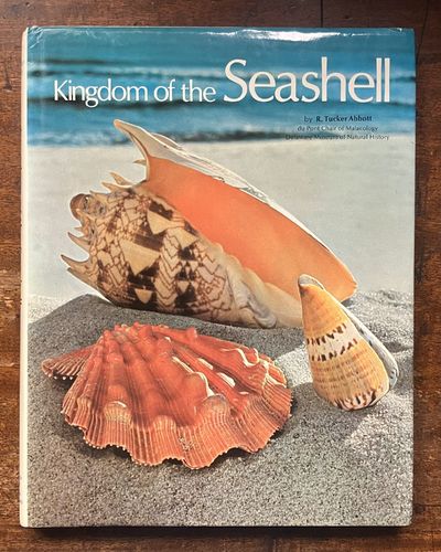 Kingdom of the Seashell