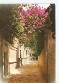 Postal 050219 : Sevilla. Barrio Santa Cruz. Callejon del Agua