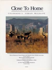 image of Close to Home Colorado's Urban Wildlife