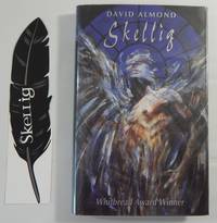 image of Skellig
