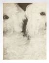 Catalogue No. 20, 1998