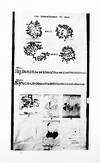 EUGENICS CONGRESS 1923. Eugenics, Genetics and the Family, Vol I. ;Eugenics in Race and State, Vol II: Scientific Papers of the Second International Congress of Eugenics