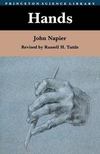 image of Hands