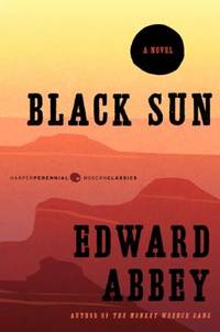Black Sun : A Novel
