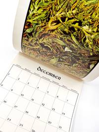CANNIBIS CALENDAR 1974