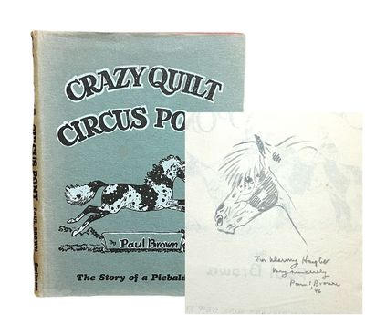 Crazy Quilt Circus Pony: The Story of a Piebald Pony