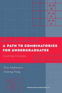 A Path to Combinatorics for Undergraduates : Counting Strategies