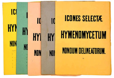 Icones selectae hymenomycetum nondum…