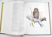 cover of Nocturnal Birds of Australia