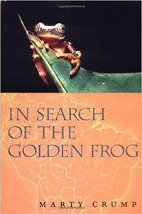 In Search of the Golden Frog