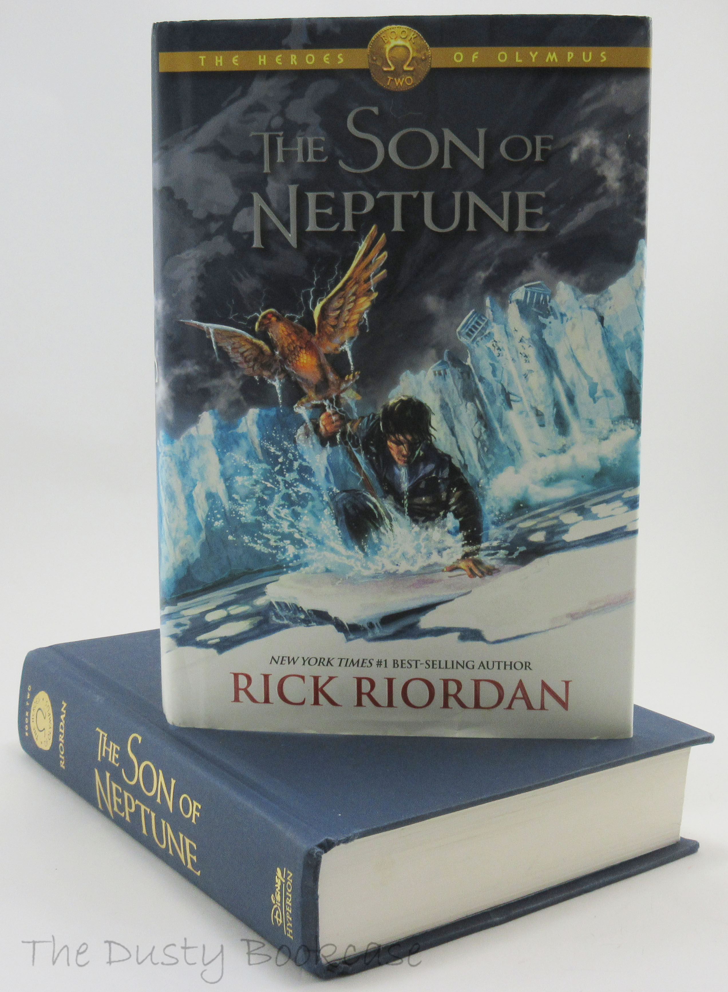 Son Of Neptune Cover The Son Of Neptune By Rick Riordan, Paperback