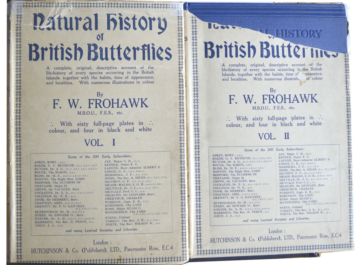 Natural History Of British Butterflies Frohawk Natural History Of British Butterflies Frohawk