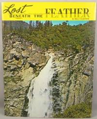 cover of Lost Beneath the Feather.