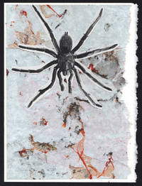 image of Tarantula (detail, 1911)