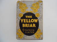 The Yellow Briar: A Story of the Irish on the Canadian Countryside