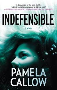 Indefensible (A Kate Lange Novel)
