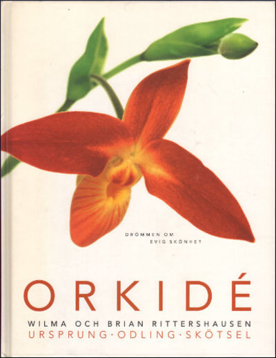 ORKIDÉ. Drömmen om evig skönhet.