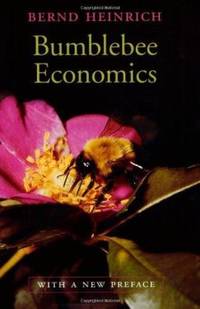 Bumblebee Economics: With a New Preface, Revised Edition