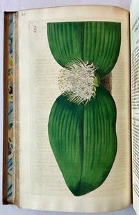 The Botanical Register: Consisting of Coloured Figures of Exotic Plants, Cultivated in British Gardens; With Their History and Mode of Treatment (In 7 Volumes)