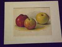 The Fruit Grower's Guide: Apples.