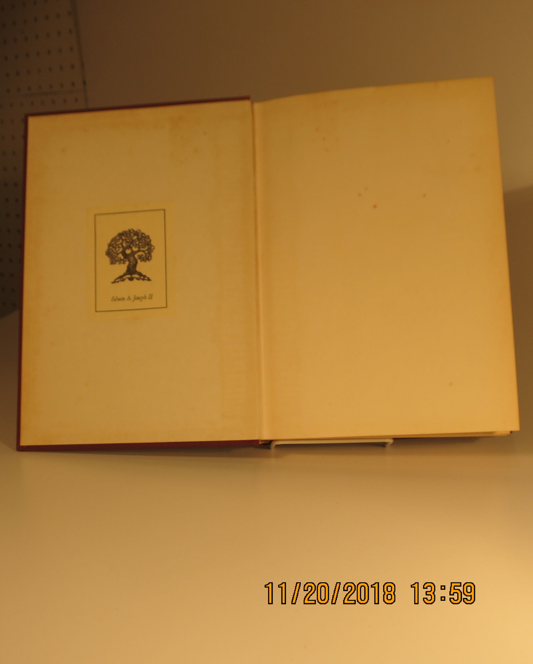The Life and Art of Albrecht Durer by Erwin Panofsky