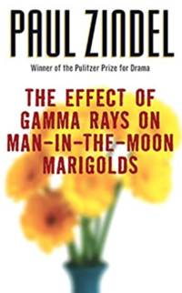 The Effect of Gamma Rays on Man-In-The-Moon Marigolds