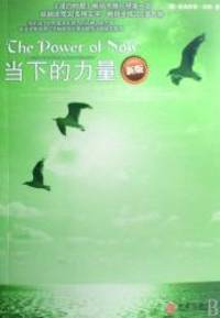 image of The Power of Now (New Edition) (Chinese Edition)